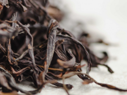 Bai Tien Xiang Wu Dong Dan Cong (Pojedyncze krzewy o aromacie Sta Niebios z szczytu Wudong), AAA, 2025