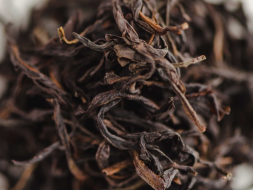 Bai Tien Xiang Wu Dong Dan Cong (Pojedyncze krzewy o aromacie Sta Niebios z szczytu Wudong), AAA, 2025