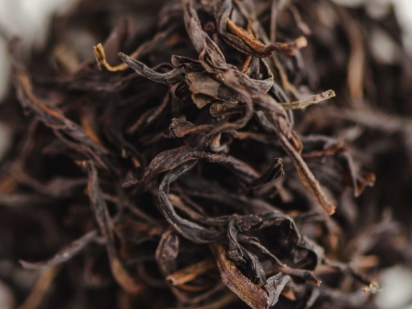 Bai Tien Xiang Wu Dong Dan Cong (Pojedyncze krzewy o aromacie Sta Niebios z szczytu Wudong), AAA, 2025