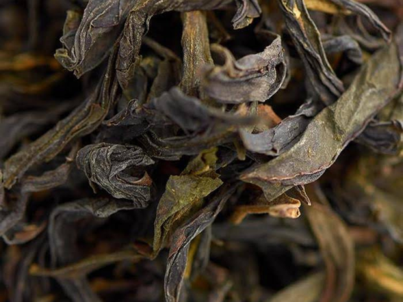 Ya Shi Xiang Dan Cong (Pojedyncze krzewy o aromacie kaczego gnoju), AA, 2022