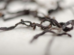 Lao Cong Lao Xiang Wen Wudong Dan Cong (Nieśmiertelny starzec ze starych krzewów z góry Wudong), AAA, 2022