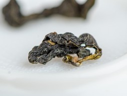 Te Guan Yin Old School, AAA, jesień 2024