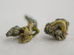 Xue Pian Gao Shan (Śnieżny szczyt) z Ji Bian, ААА, 2023