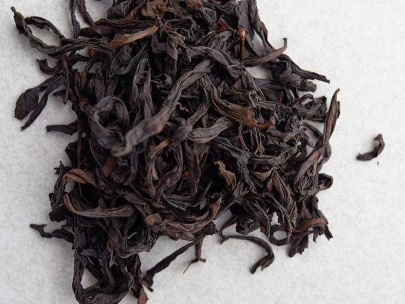 Shui Jin Gui (Złoty żółw wodny), AAA, 2025