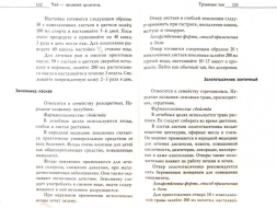 Herbata jest wspaniałym uzdrowicielem