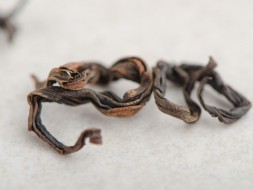 Lao Mei Zhan Hong Cha (Dojrzała herbata czerwona), АА, 2016