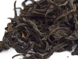 Qi Lan (Cudowna orchidea), AA, 2023