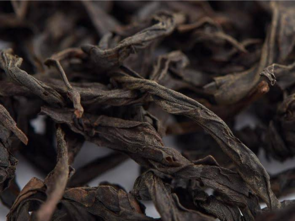 Shui Xian (Wodny Nieśmiertelny), AA, 2022