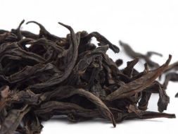 Shui Xian (Wodny Nieśmiertelny), AA, 2022