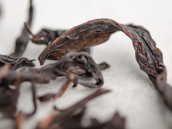 Shui Xian Jiu Ho (Wodny Nieśmiertelny wystarczającego ogrzewania), A, 2022