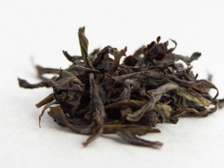 Ye Sheng Dan Cong Gao Ho (Dzikie pojedyncze krzewy o silnym ogrzewaniu), A, 2025