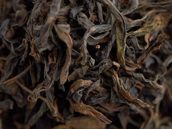 Ye Sheng Dan Cong Gao Ho (Dzikie pojedyncze krzewy o silnym ogrzewaniu), A, 2025