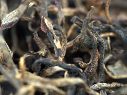 Red Vietnamese half-fermented tea, АА, 2023