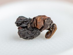 Lao Te Guan Yin Lao Cong Zheng Shan, AAA, 2019