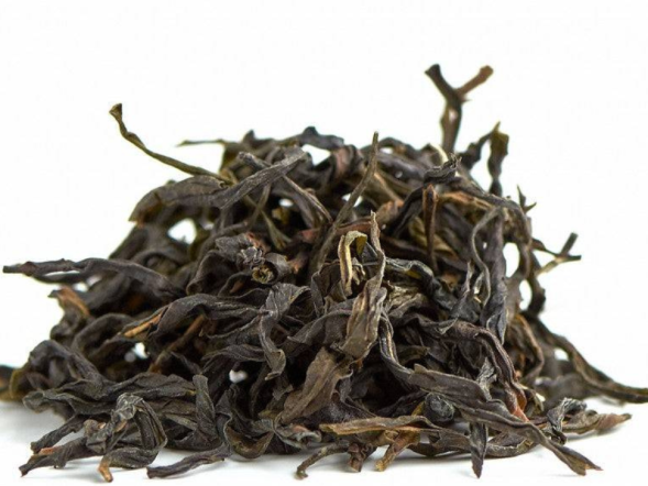 Ye Sheng Dan Cong Qing Ho (Dzikie pojedyncze krzewy o słabym ogrzewaniu), AA, 2025