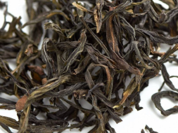 Ye Sheng Dan Cong Qing Ho (Dzikie pojedyncze krzewy o słabym ogrzewaniu), AA, 2025