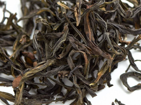 Ye Sheng Dan Cong Qing Ho (Dzikie pojedyncze krzewy o słabym ogrzewaniu), AA, 2025