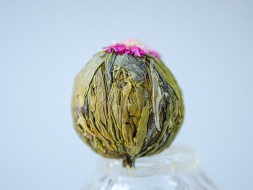 Kwitnąca bombonierka Yu Long Tao (Nefrytowa broskwinia smoka), AAA, 2022