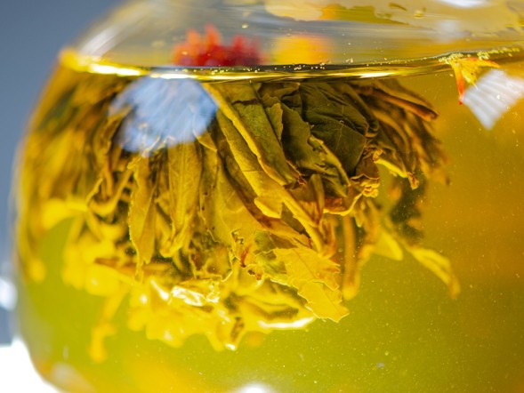 Kwitnąca bombonierka Yu Long Tao (Nefrytowa broskwinia smoka), AAA, 2022