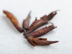 Ye Sheng Gao Shan Ya Bao Hong Cha, AA, 2024