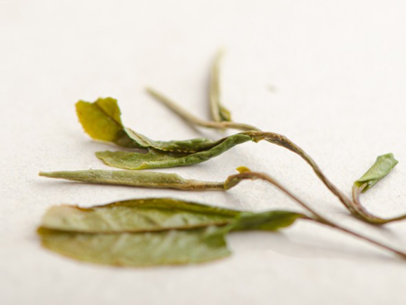 Bai Mu Dan Wang (Biała piwonia), ААА, 2022