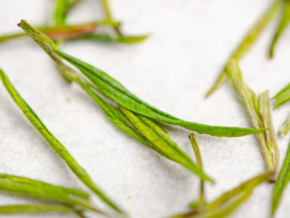 Anji Bai Cha, AAA, 2025