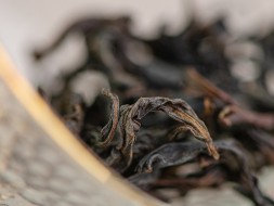 Jin Hong Pao, AAA, 2025