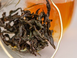 Jin Hong Pao, AAA, 2025