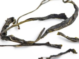 Dzika zielona herbata, АА, Tkibuli, Gruzja, 2025