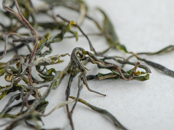 Sheng Pu Erh Agrest, AA, Tkibuli, Gruzja, 2025