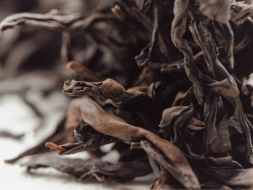 Shi Zhu Yun Long (Mleko kamienne z Yun Long), ААА, 2025