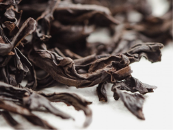 Shi Zhu Yun Long (Mleko kamienne z Yun Long), ААА, 2025