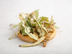 Lipa (kwiaty i liśćie), 2024