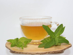 Liście mięty, 2024