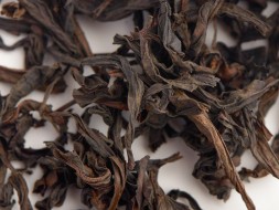 Huang Mei Gui (Żółta róża z gór Wuyi), AAA, 2025