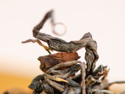 Sheng Pu Erh Mao Cha Zhang Xiang (Aromat kamfory), Bano Cha Shan, AA, 2016