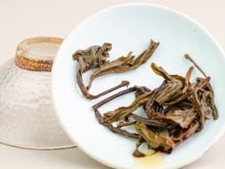 Sheng Pu Erh Mao Cha Zhang Xiang (Aromat kamfory), Bano Cha Shan, AA, 2016