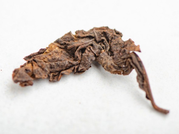 Shu Pu Erh Birmański Olbrzym, A, 2019