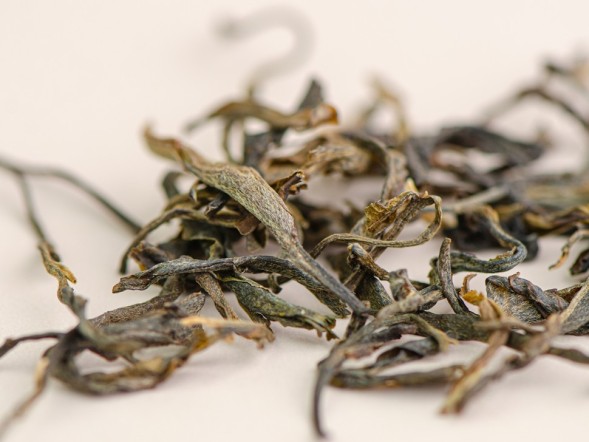 Sheng Pu Erh Mao Cha Gan Guo Xiang (Aromat suszonych owoców), Xigui, AA, 2022