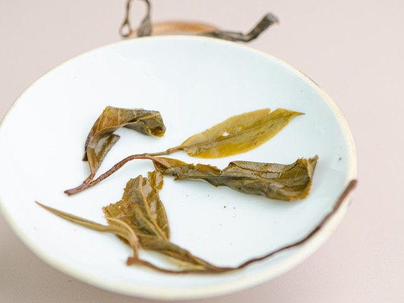 Sheng Pu Erh Mao Cha Gan Guo Xiang (Aromat suszonych owoców), Xigui, AA, 2022