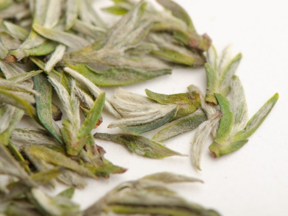 Huang Shan Mao Feng, AAA, wiosna 2025