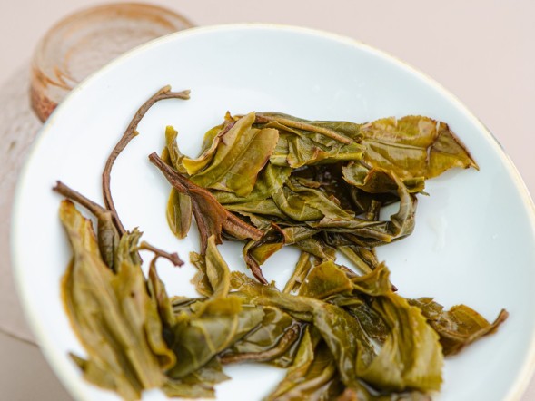 Sheng Pu Erh Mao Cha Shui Go Xiang (Aromat owocowy), Manfei, AA, 2025